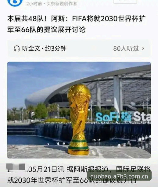 资深用户解读2030世界杯扩军66队对中国足球的深远影响，多宝平台登录分享观赛新视角